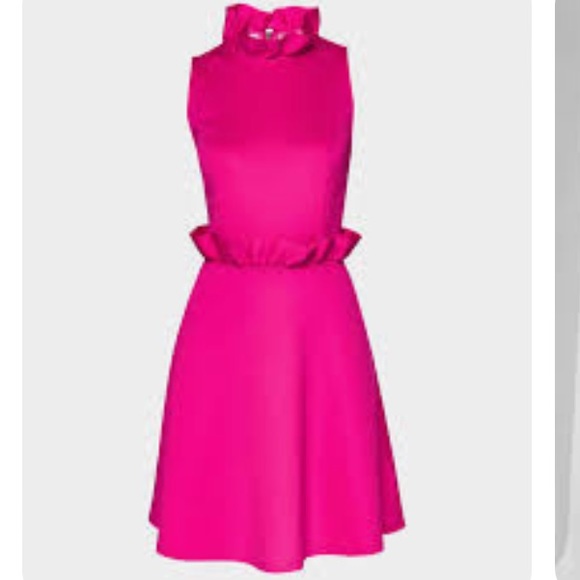 Ted Baker Dresses & Skirts - Ted Baker
Women's Pink Janein Ruffle Waist Dress size 1
